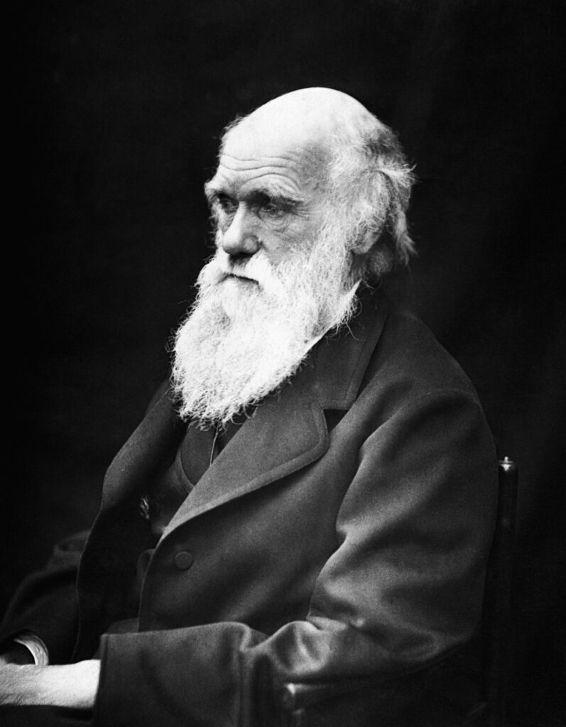 charles robert darwin, scientists, naturalist-62911.jpg