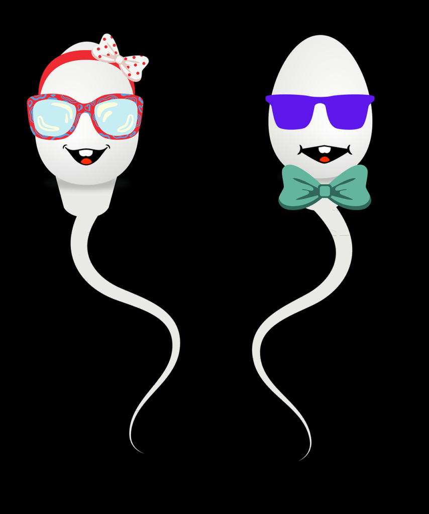 sperm, sperm cells, reproduction-7454227.jpg